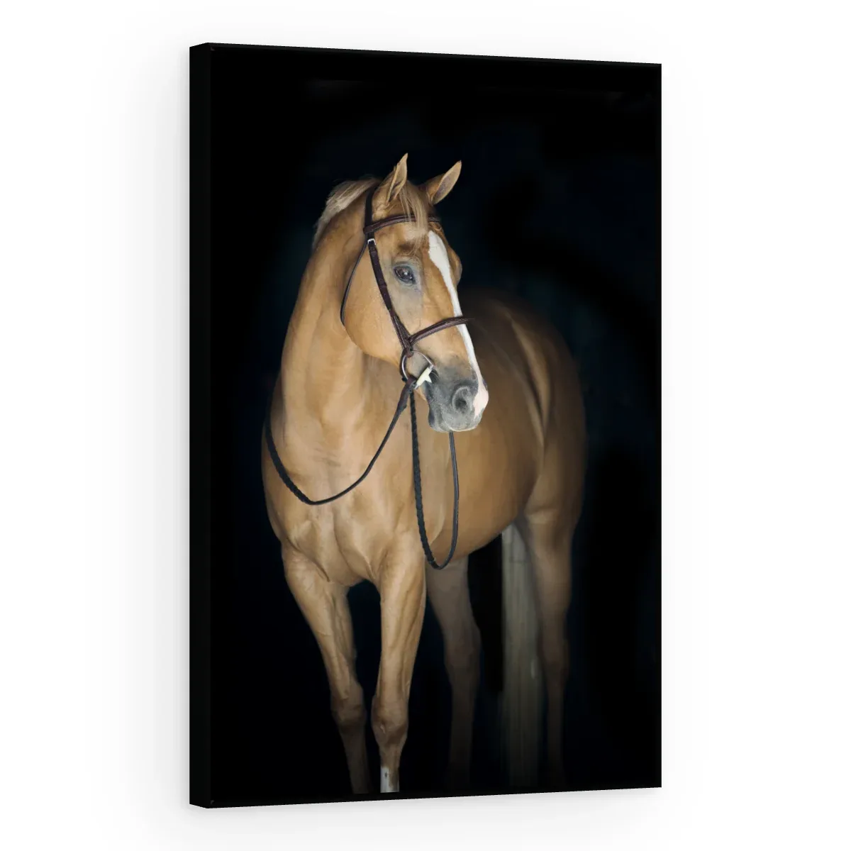 Quadro Decorativo Canvas Cavalo Baio - CA0028