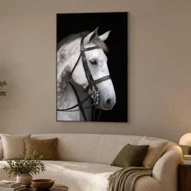 Quadro Decorativo Canvas Cavalo Tordilho - CA0029