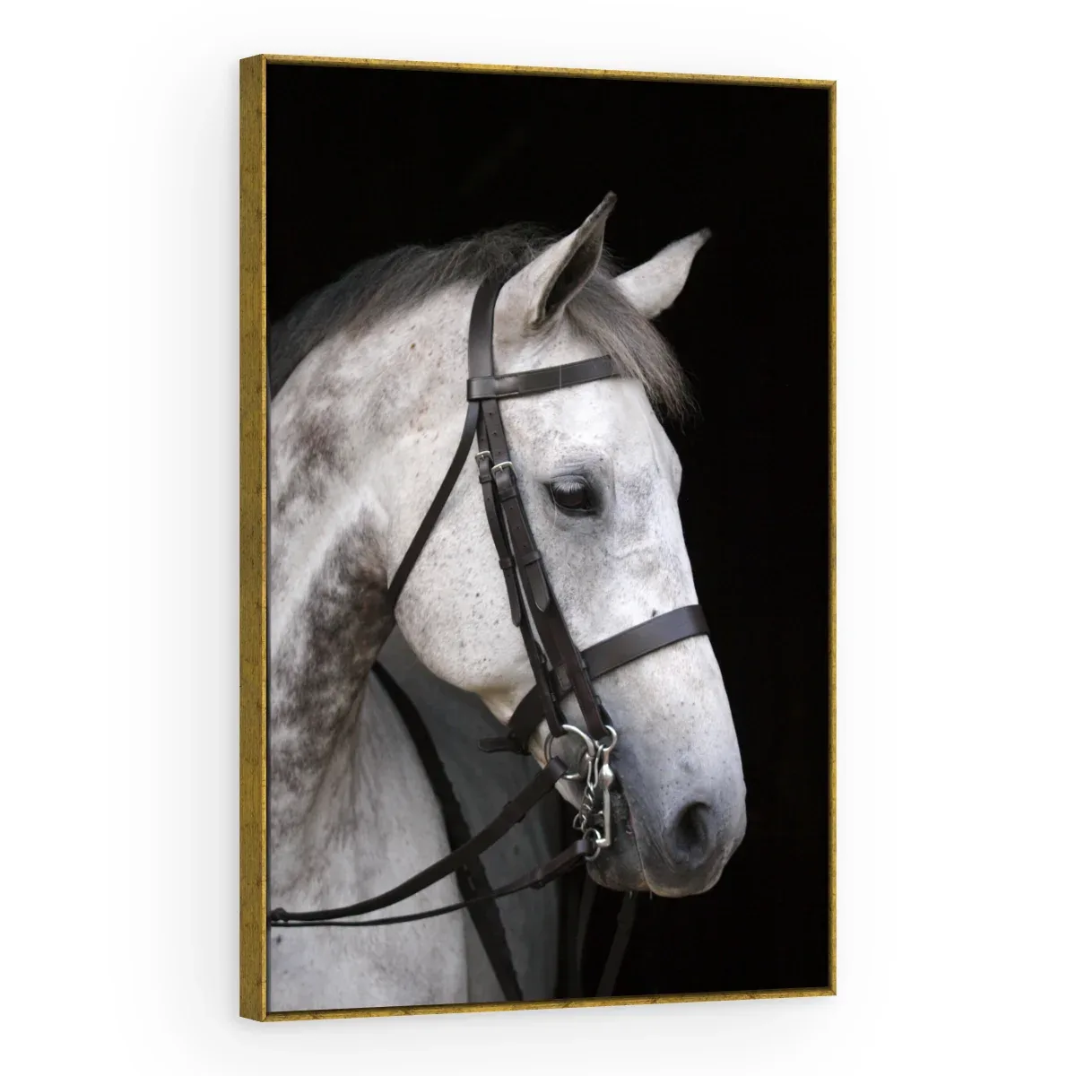 Quadro Decorativo Canvas Cavalo Tordilho - CA0029