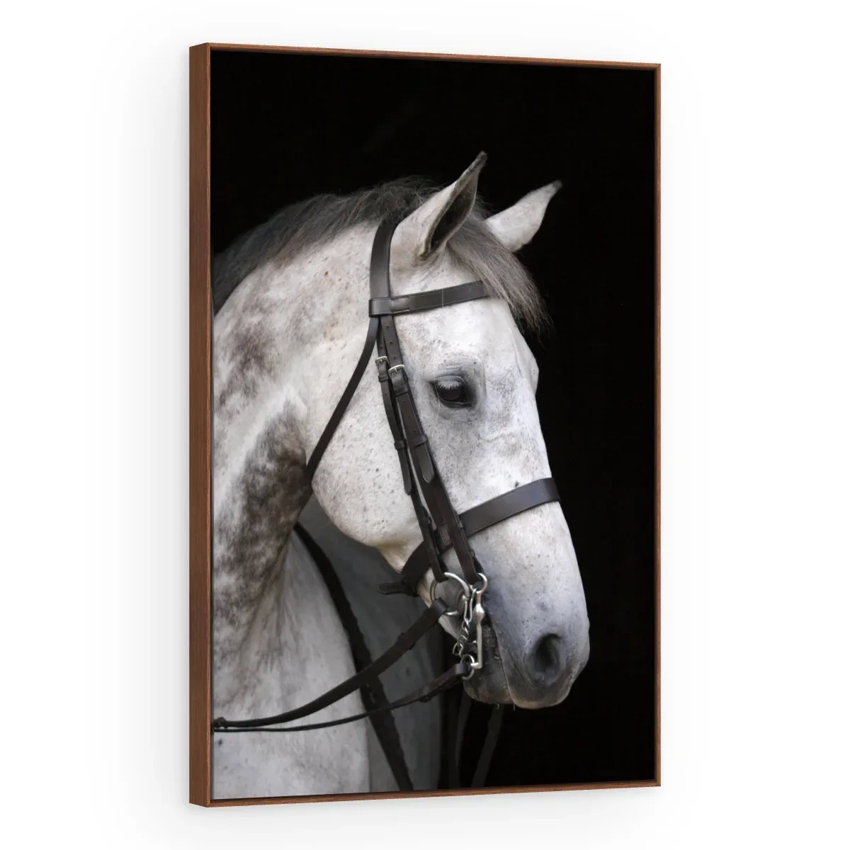 Quadro Decorativo Canvas Cavalo Tordilho - CA0029
