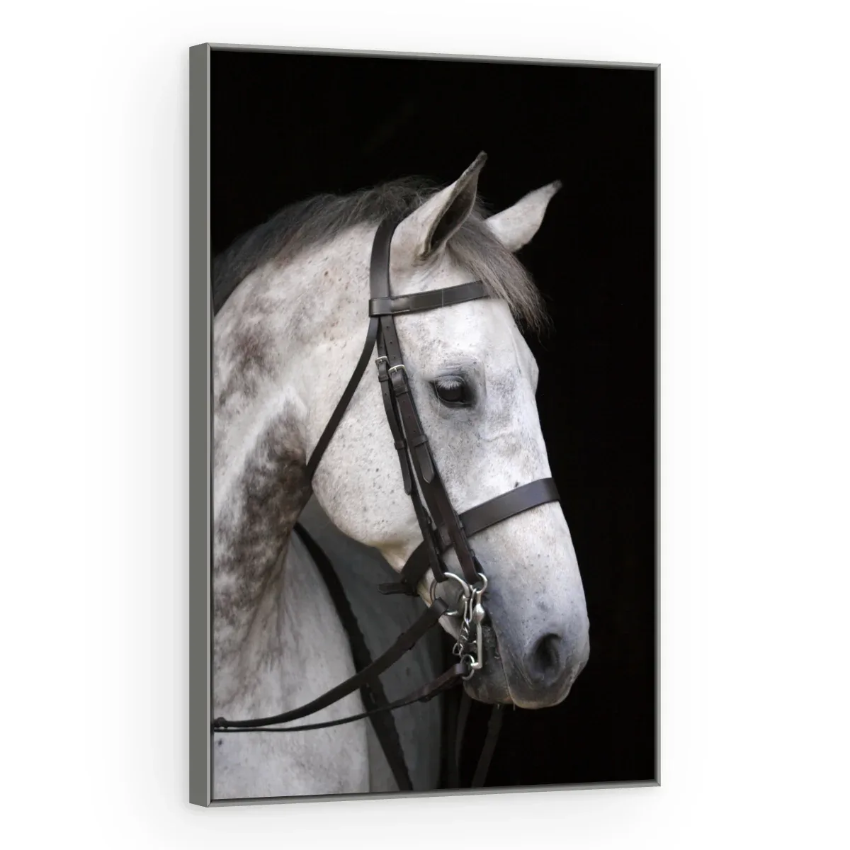 Quadro Decorativo Canvas Cavalo Tordilho - CA0029