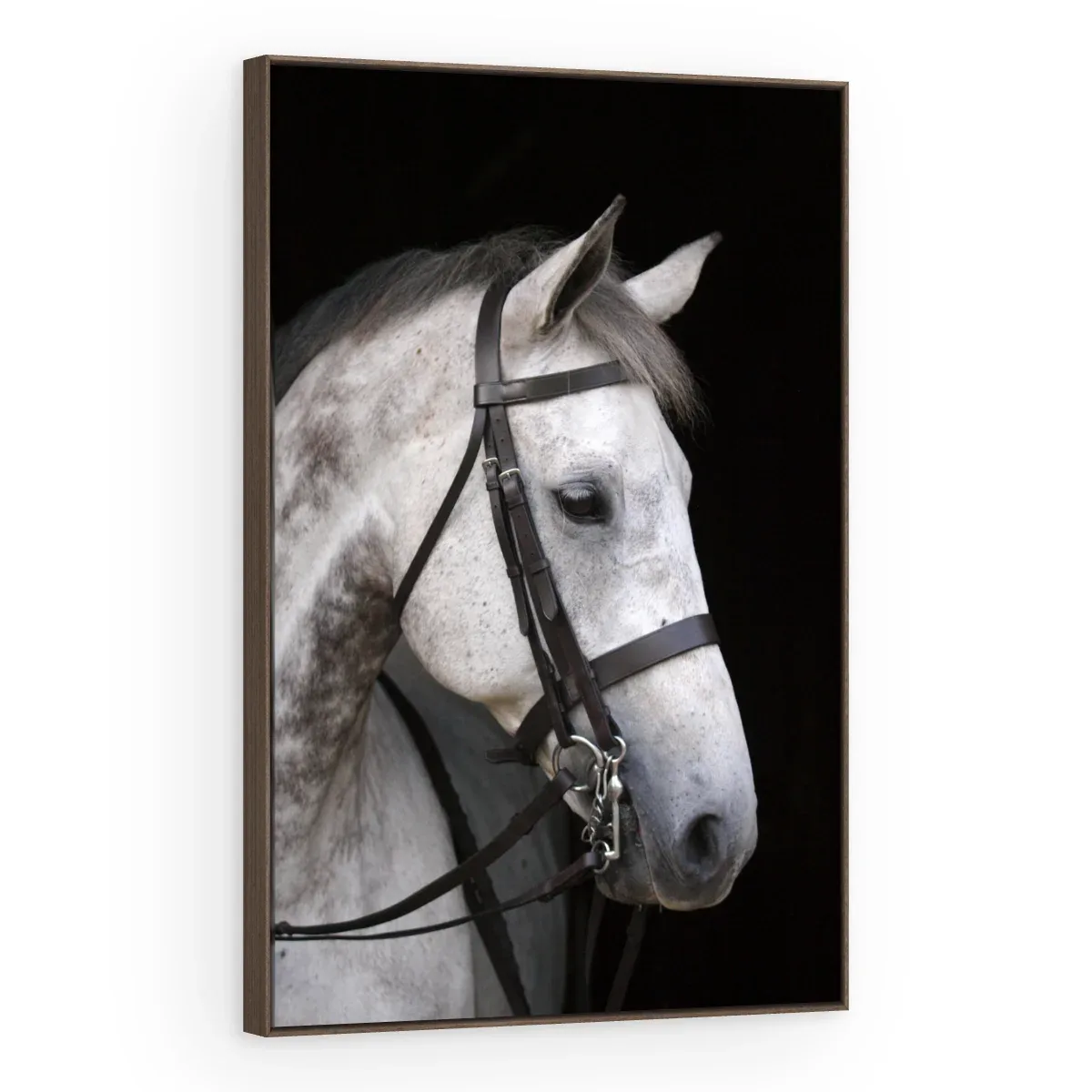Quadro Decorativo Canvas Cavalo Tordilho - CA0029