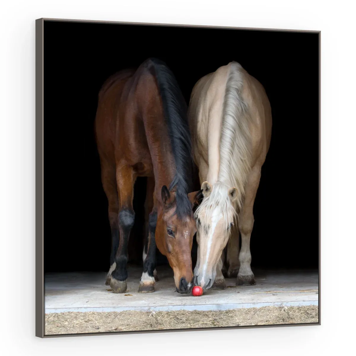 Quadro Decorativo Canvas Cavalos Companheiros - CA0030