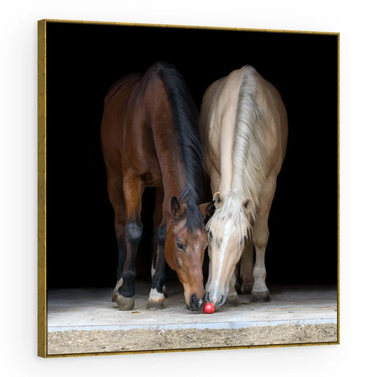Quadro Decorativo Canvas Cavalos Companheiros - CA0030