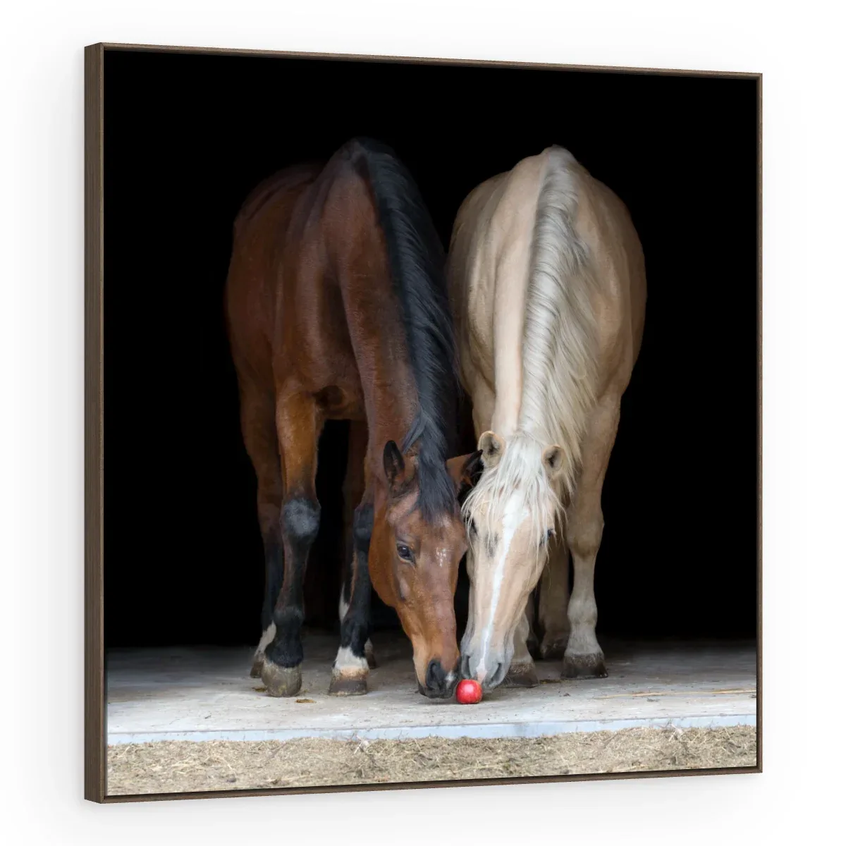 Quadro Decorativo Canvas Cavalos Companheiros - CA0030