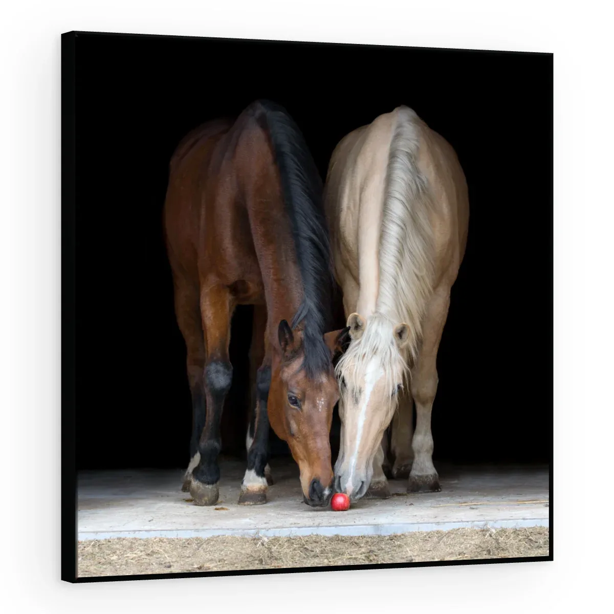 Quadro Decorativo Canvas Cavalos Companheiros - CA0030