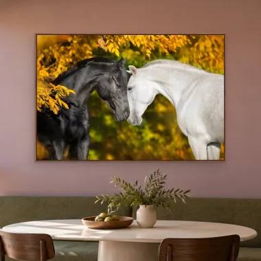 Quadro Decorativo Canvas Cavalos Afetuosos - CA0031