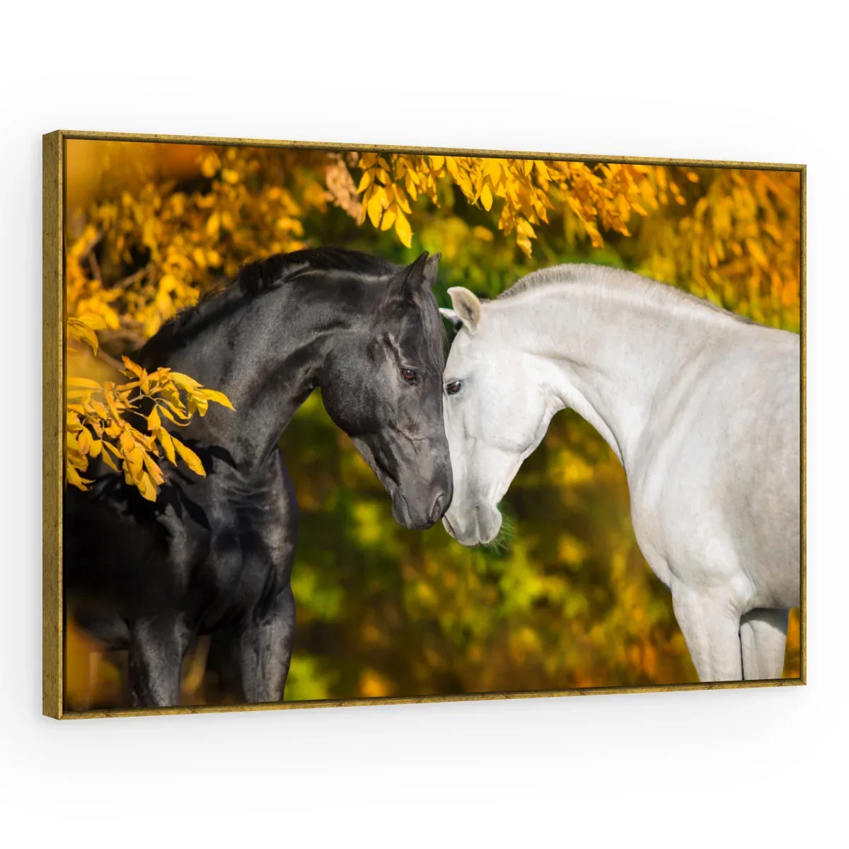 Quadro Decorativo Canvas Cavalos Afetuosos - CA0031