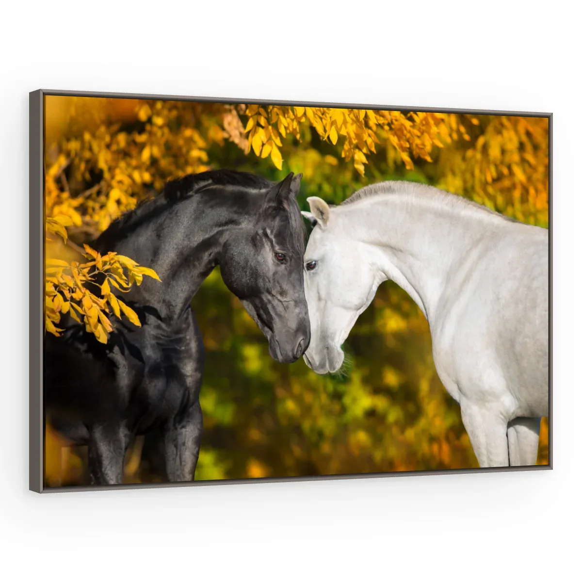 Quadro Decorativo Canvas Cavalos Afetuosos - CA0031
