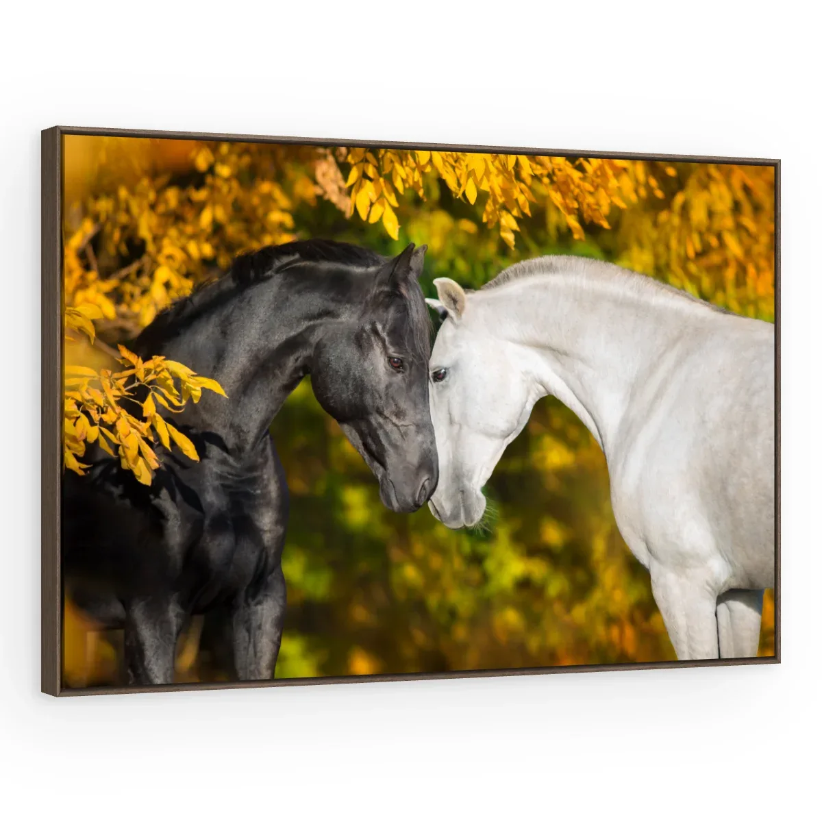 Quadro Decorativo Canvas Cavalos Afetuosos - CA0031