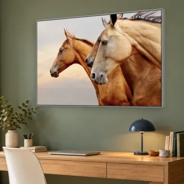 Quadro Decorativo Canvas Cavalos Serenos - CA0033