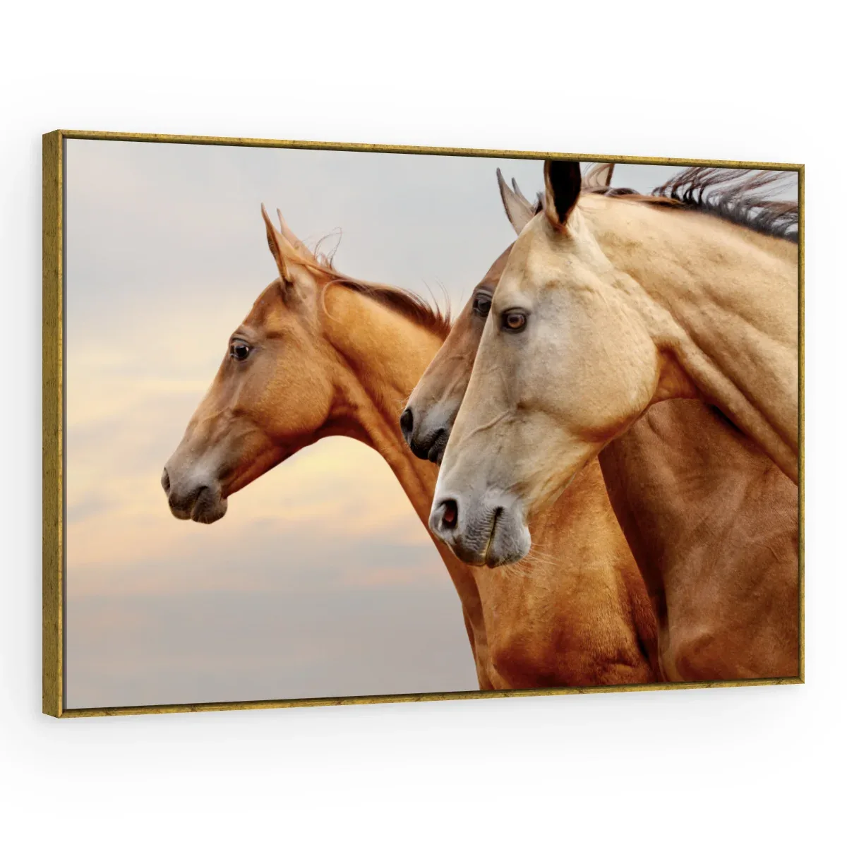 Quadro Decorativo Canvas Cavalos Serenos - CA0033