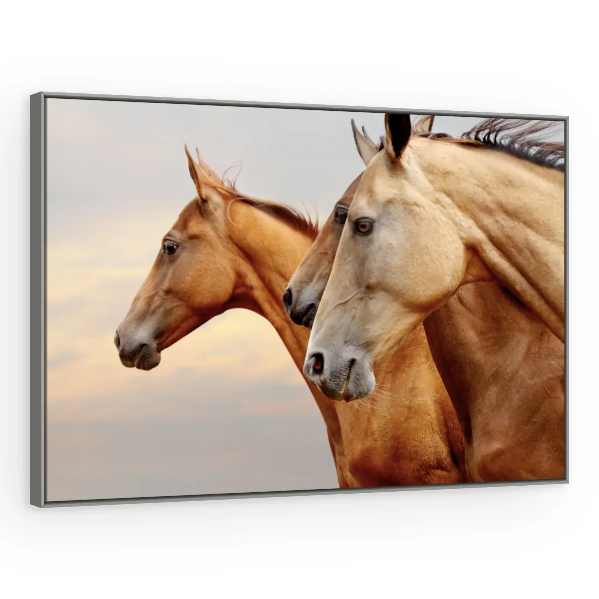 Quadro Decorativo Canvas Cavalos Serenos - CA0033