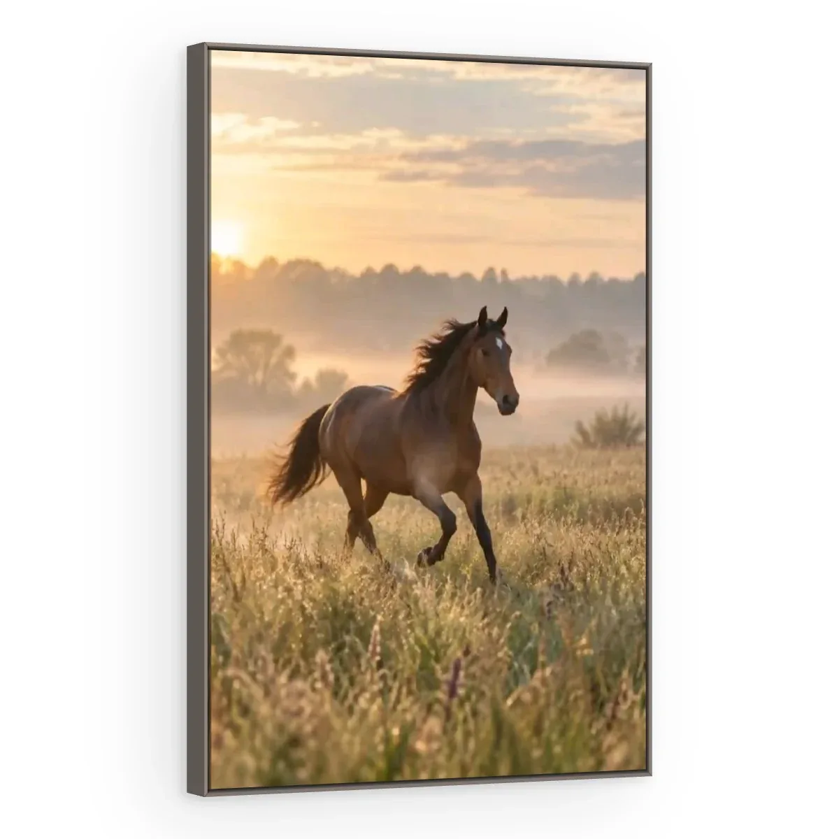 Quadro Decorativo Canvas Cavalo Amanhecer - CA0040