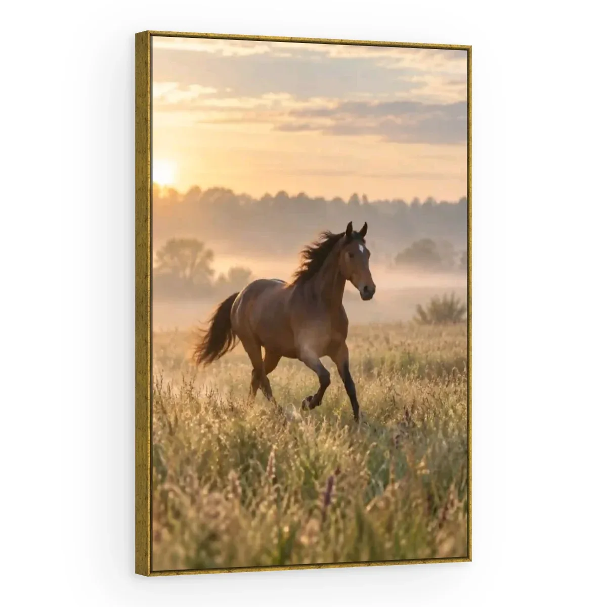 Quadro Decorativo Canvas Cavalo Amanhecer - CA0040