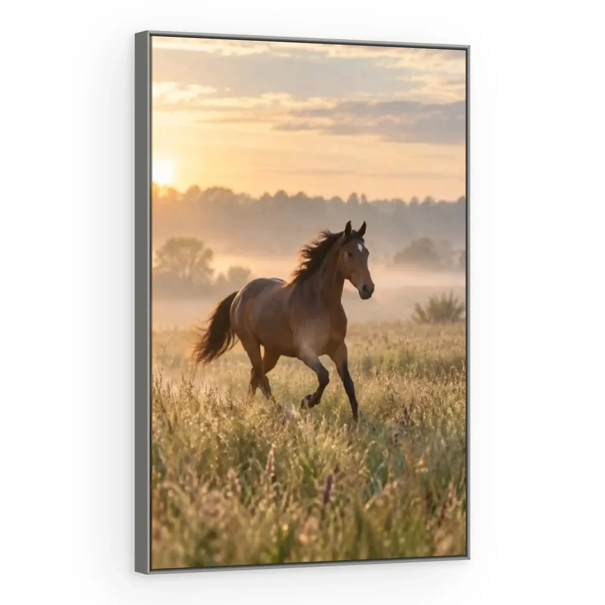 Quadro Decorativo Canvas Cavalo Amanhecer - CA0040