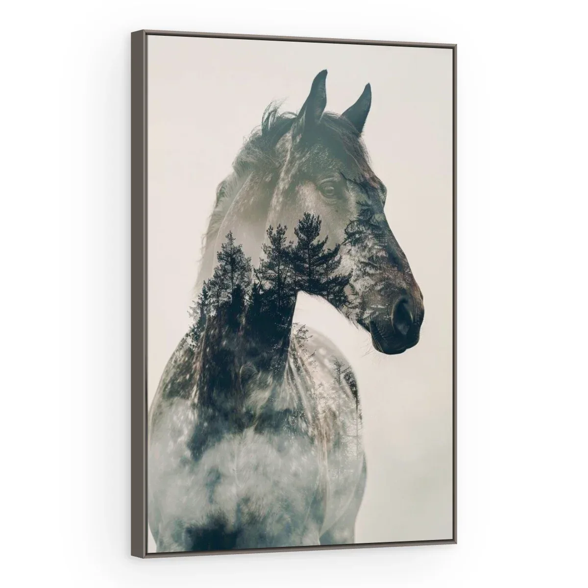 Quadro Decorativo Canvas Cavalo Enevoado - CA0043