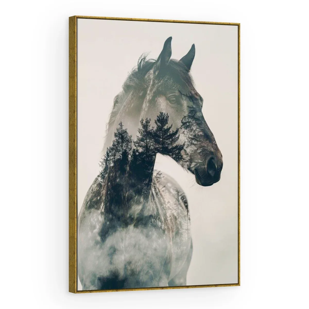 Quadro Decorativo Canvas Cavalo Enevoado - CA0043