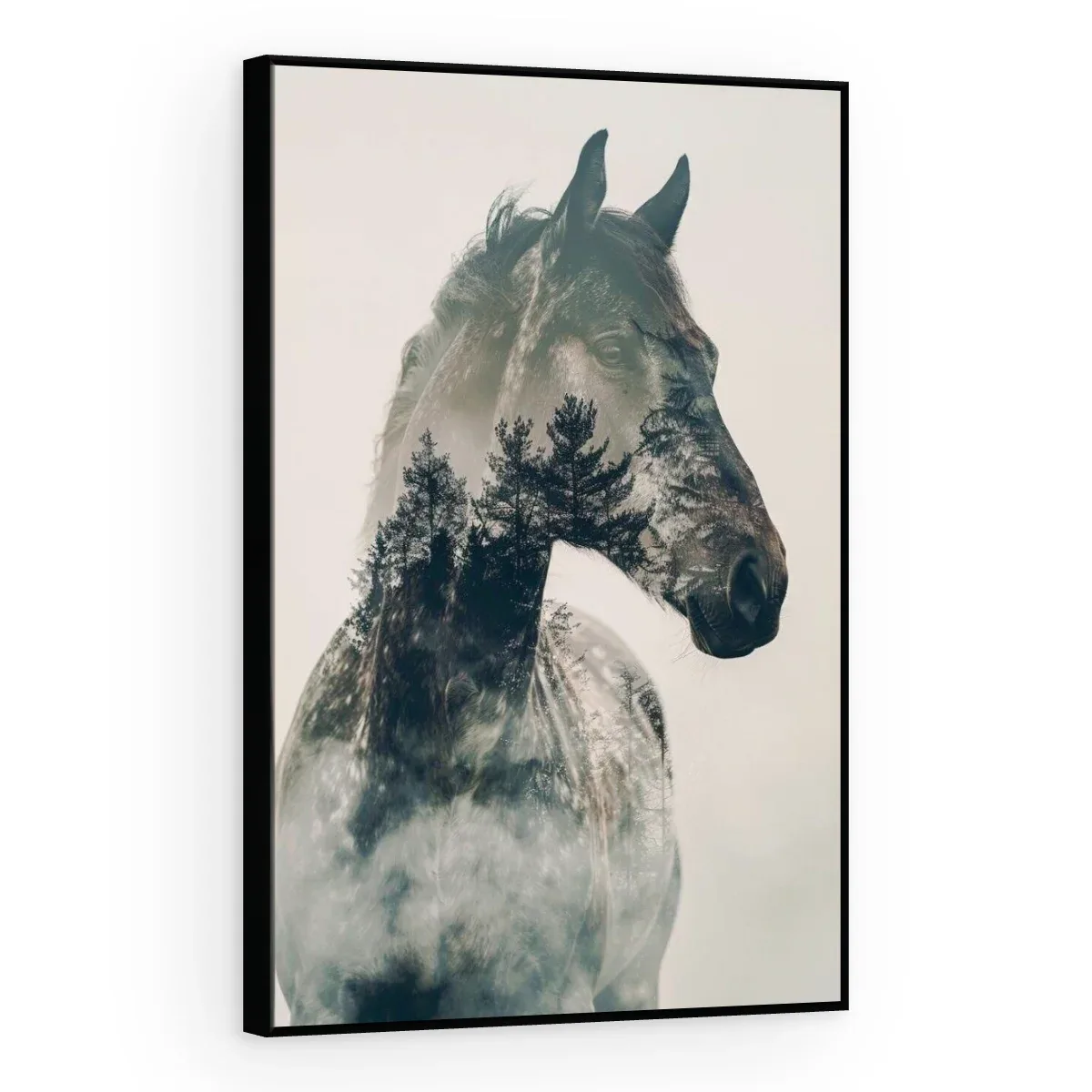 Quadro Decorativo Canvas Cavalo Enevoado - CA0043