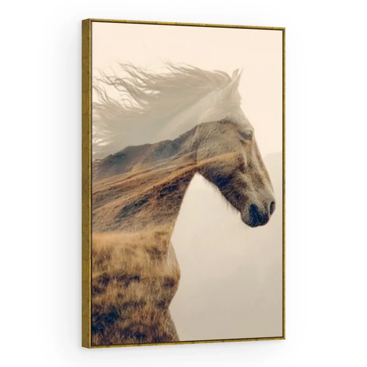 Quadro Decorativo Canvas Cavalo Pradaria - CA0045