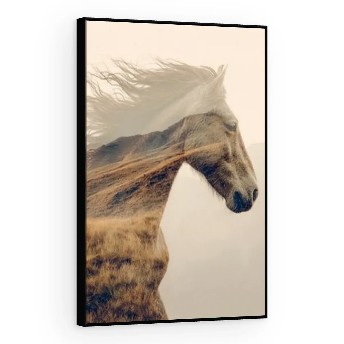 Quadro Decorativo Canvas Cavalo Pradaria - CA0045