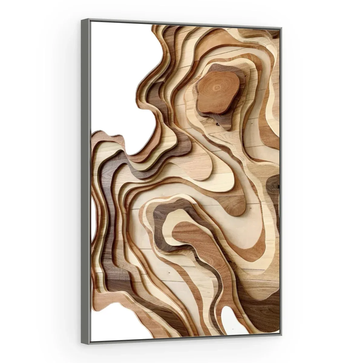 Quadro Decorativo Canvas Relevo Topográfico - AB0091