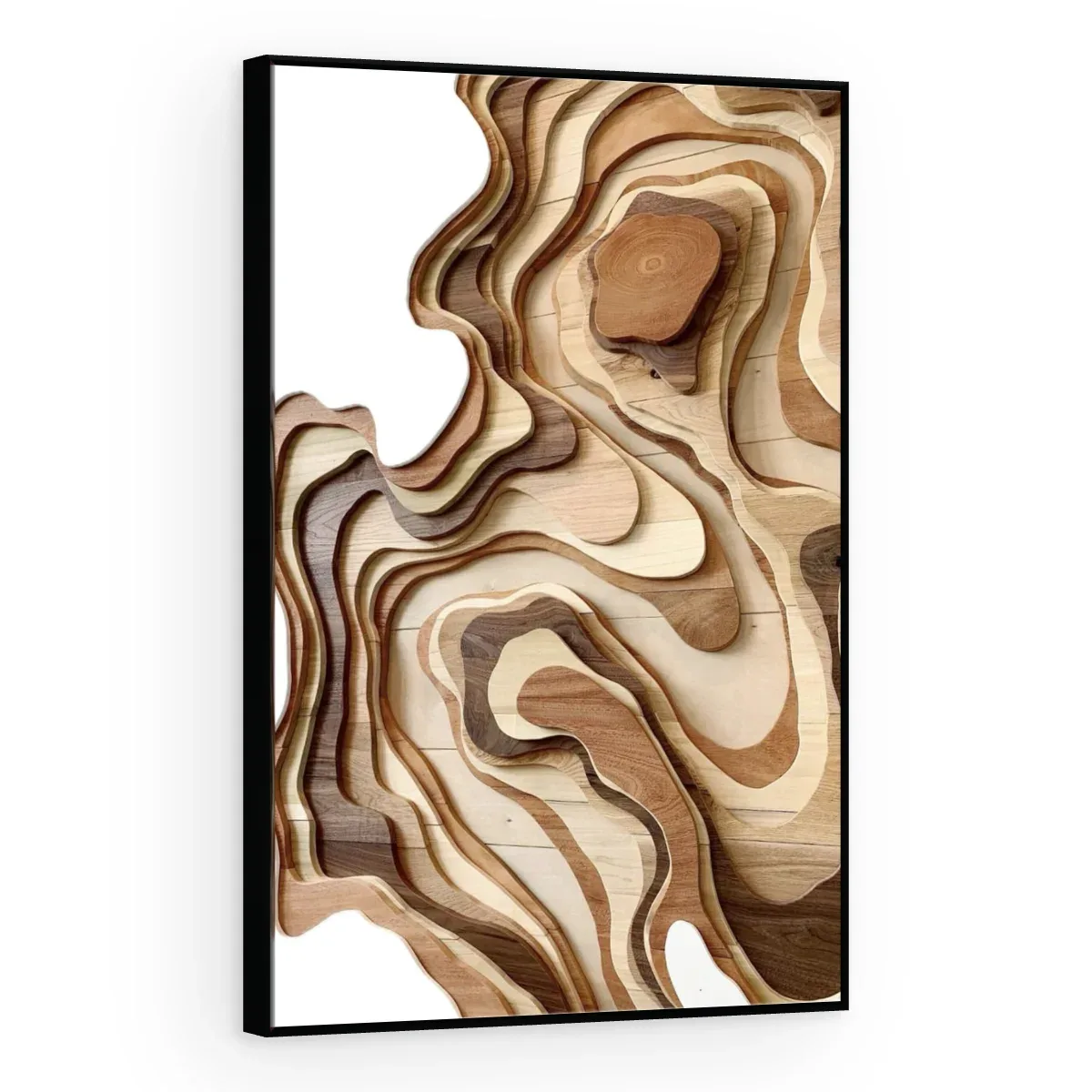Quadro Decorativo Canvas Relevo Topográfico - AB0091