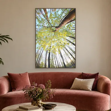 Quadro Decorativo Canvas Copa Primaveril - AF0001