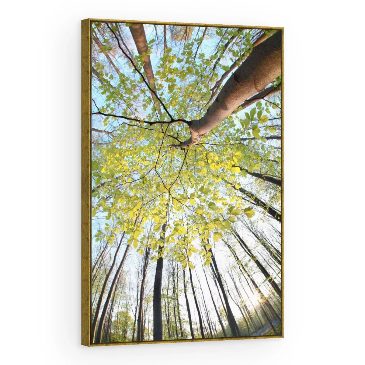 Quadro Decorativo Canvas Copa Primaveril - AF0001