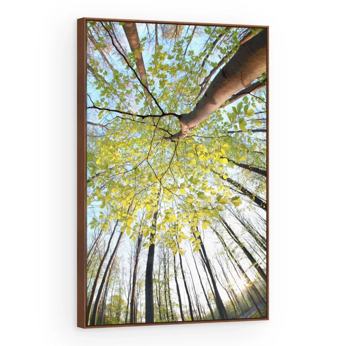 Quadro Decorativo Canvas Copa Primaveril - AF0001