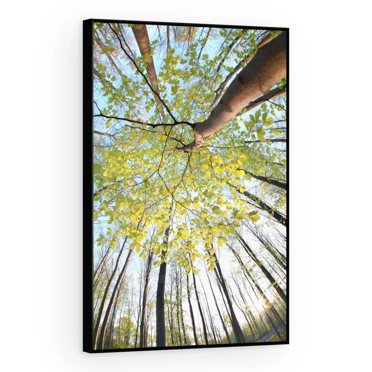 Quadro Decorativo Canvas Copa Primaveril - AF0001