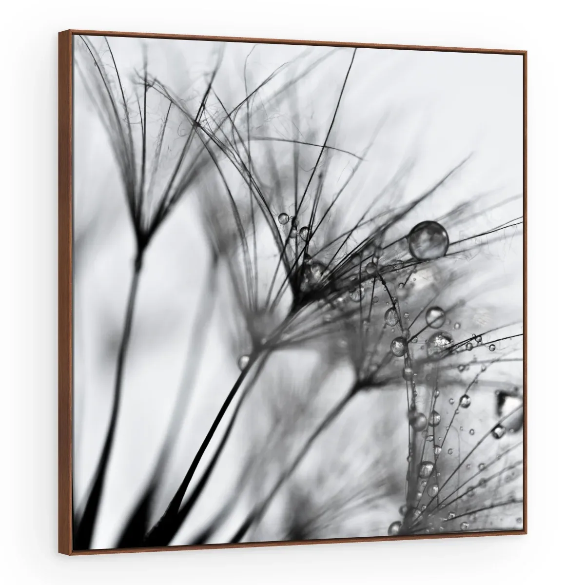 Quadro Decorativo Canvas Sementes Orvalhadas - AF0003