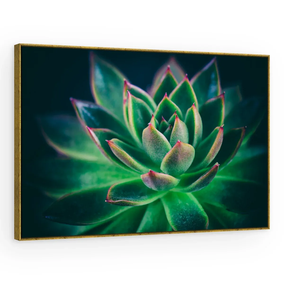 Quadro Decorativo Canvas Suculenta Esmeralda - AF0004