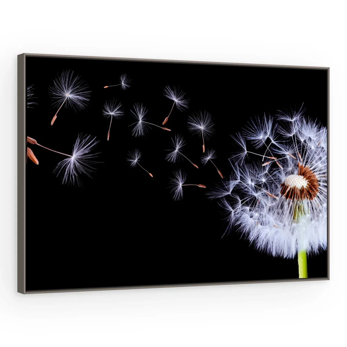 Quadro Decorativo Canvas Sopro Etéreo - AF0006