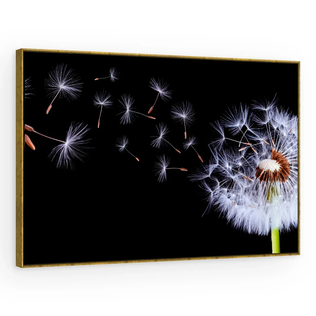 Quadro Decorativo Canvas Sopro Etéreo - AF0006
