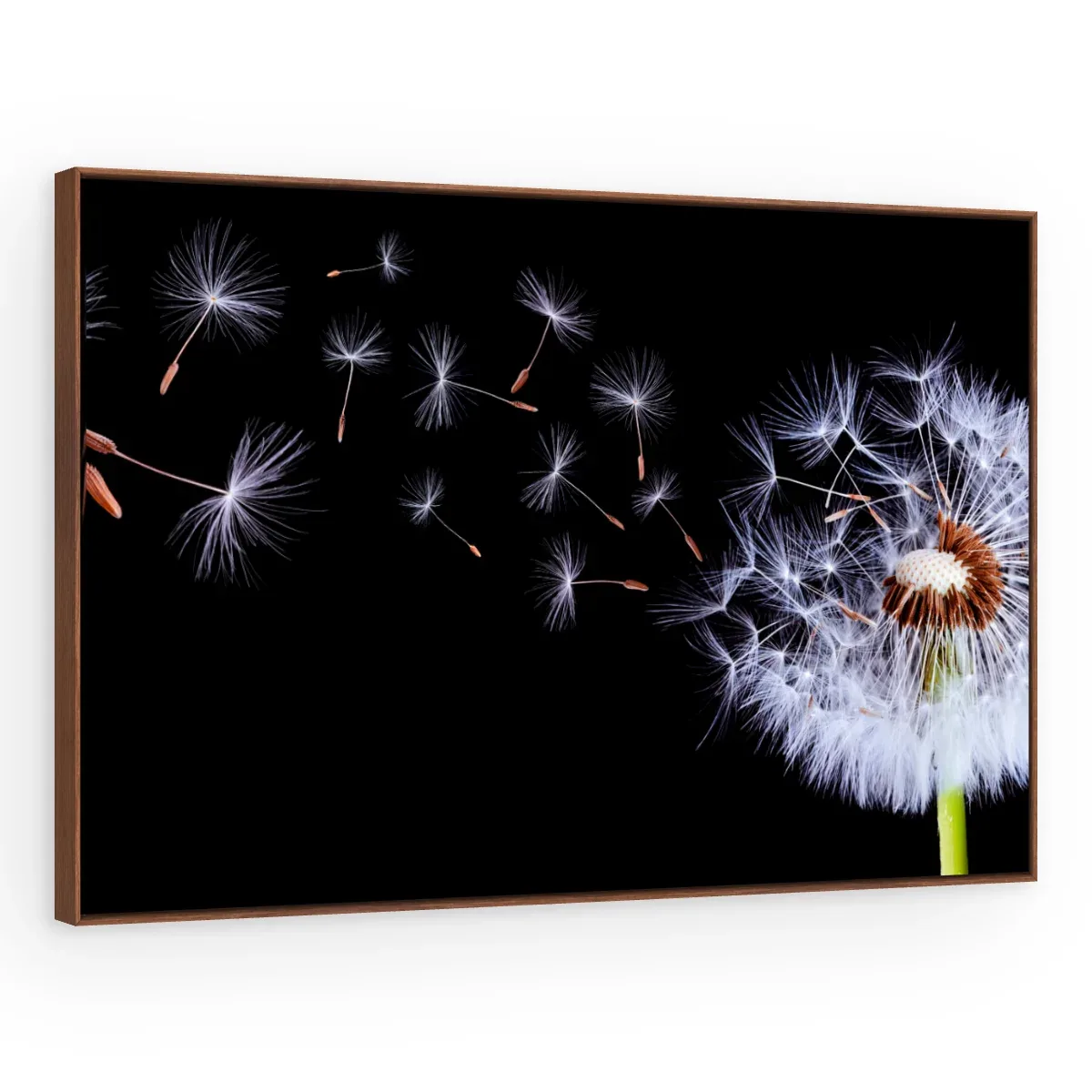Quadro Decorativo Canvas Sopro Etéreo - AF0006