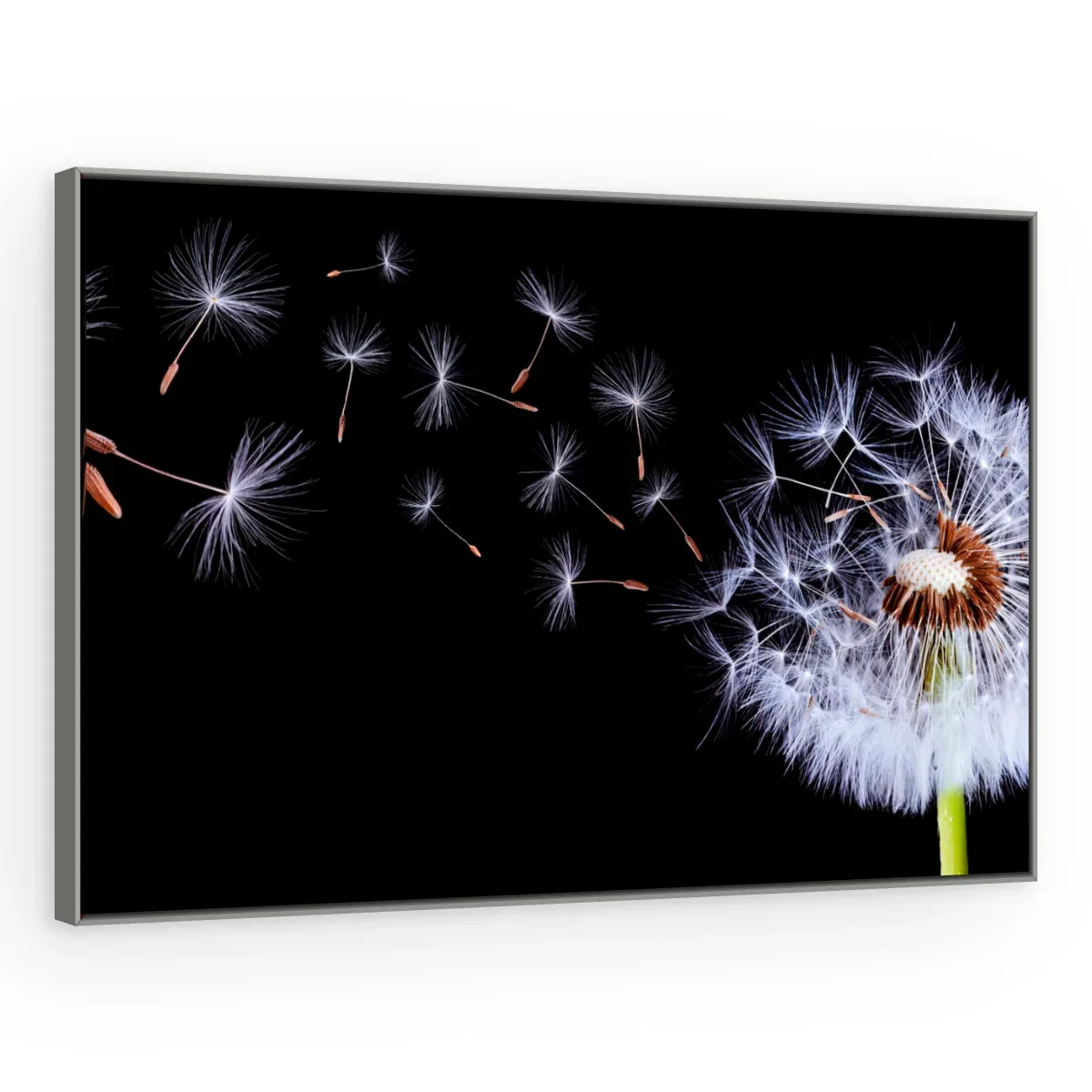 Quadro Decorativo Canvas Sopro Etéreo - AF0006