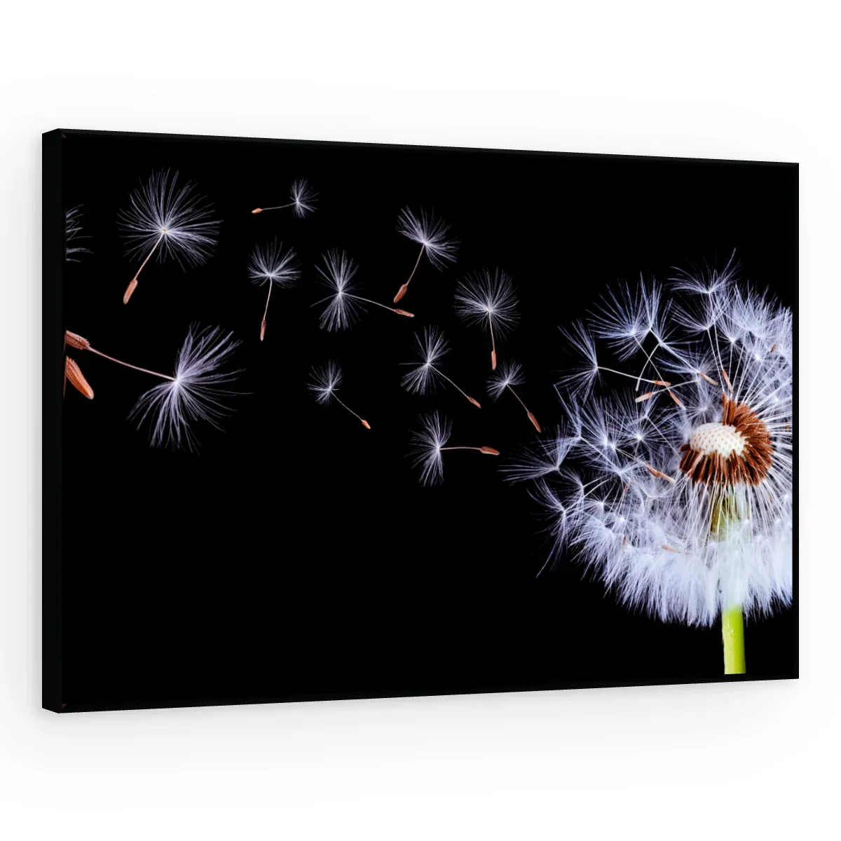 Quadro Decorativo Canvas Sopro Etéreo - AF0006