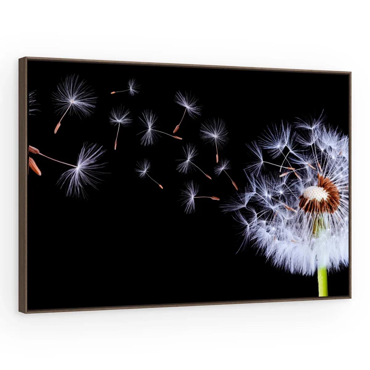 Quadro Decorativo Canvas Sopro Etéreo - AF0006