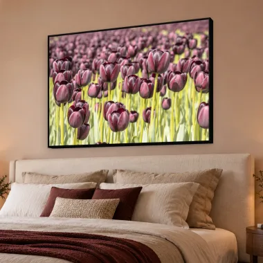 Quadro Decorativo Canvas Tulipas Púrpuras - AF0007