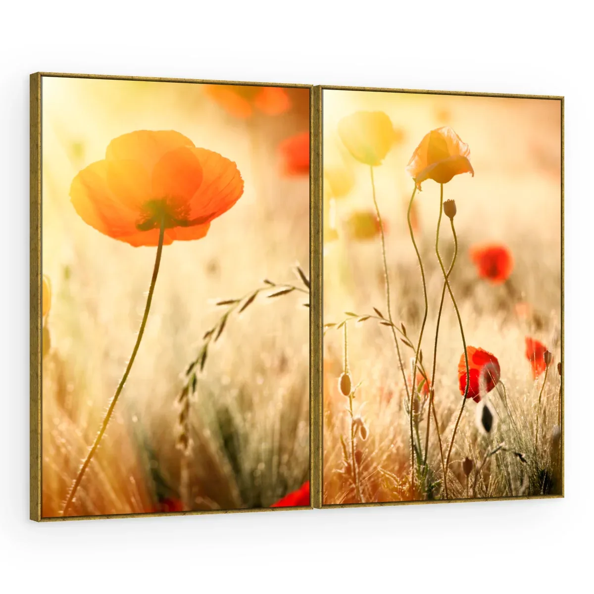 Quadro Decorativo Canvas AF00080009