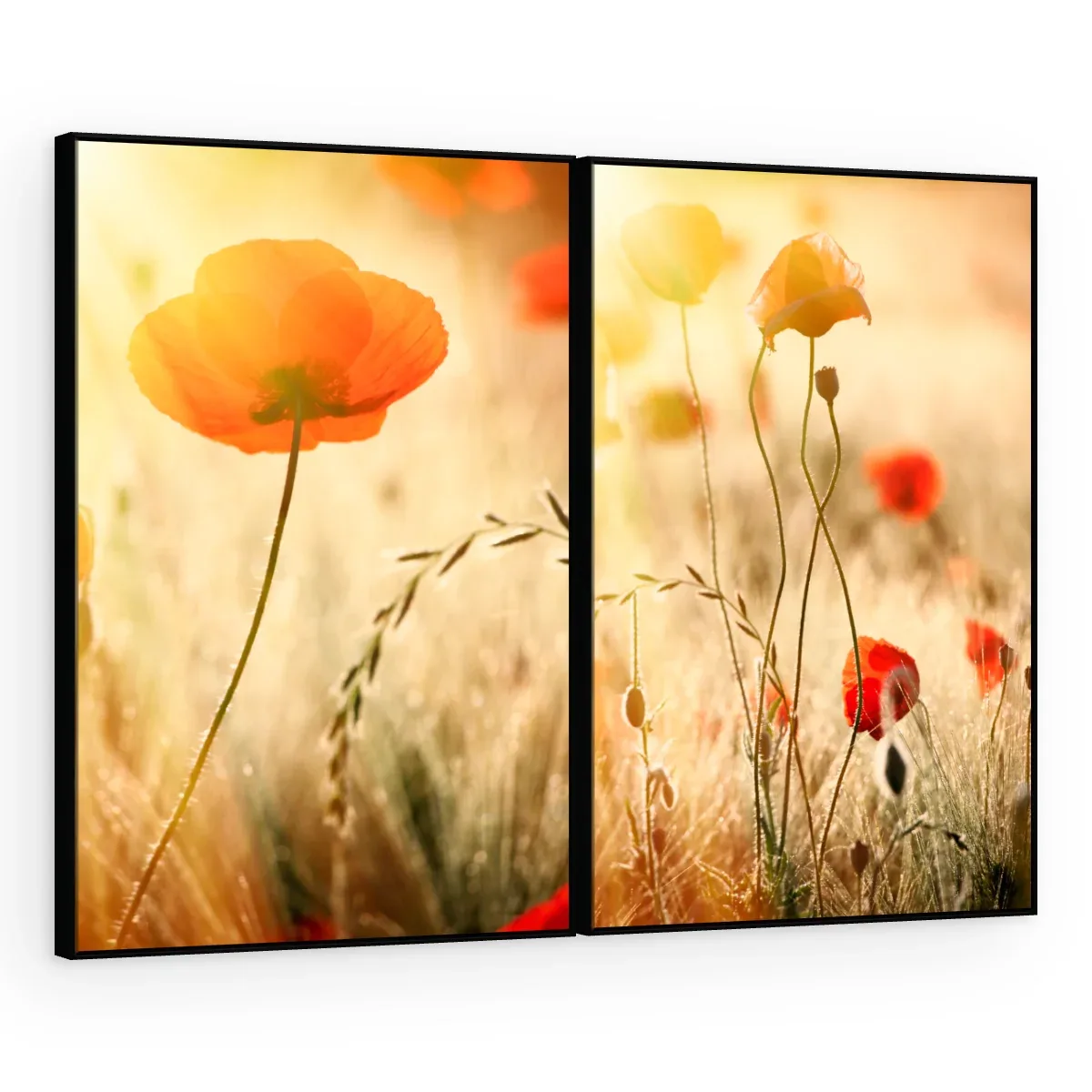 Quadro Decorativo Canvas AF00080009