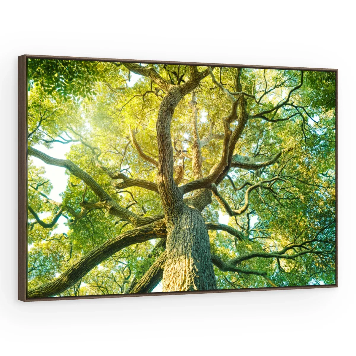 Quadro Decorativo Canvas Árvore Majestosa - AF0010