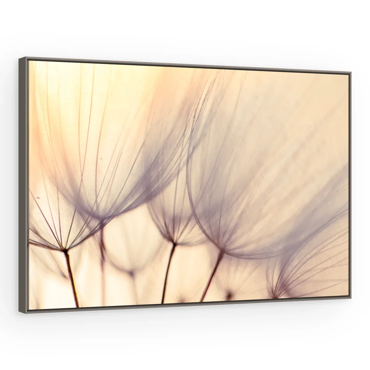 Quadro Decorativo Canvas Plumas Pastel - AF0013