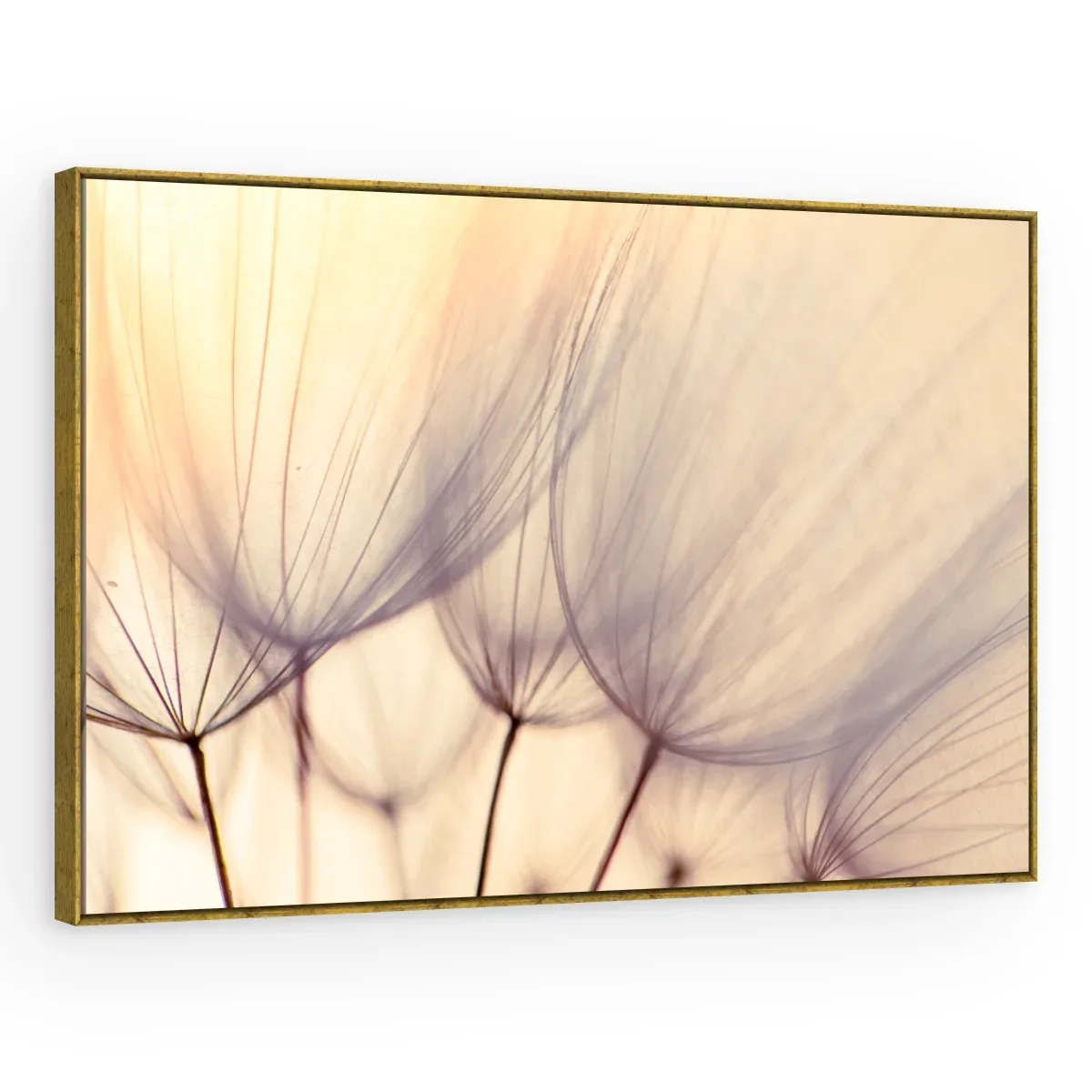 Quadro Decorativo Canvas Plumas Pastel - AF0013