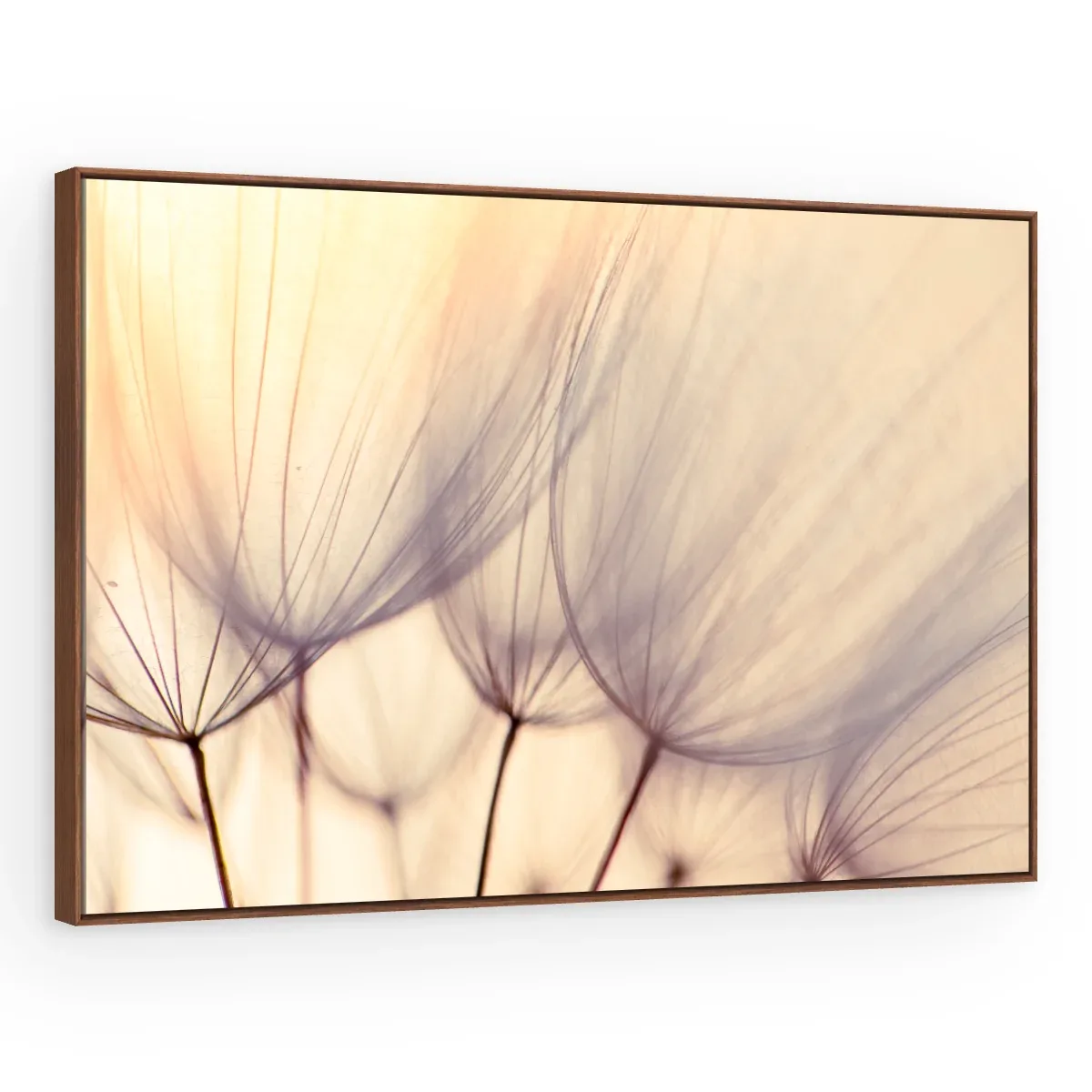Quadro Decorativo Canvas Plumas Pastel - AF0013