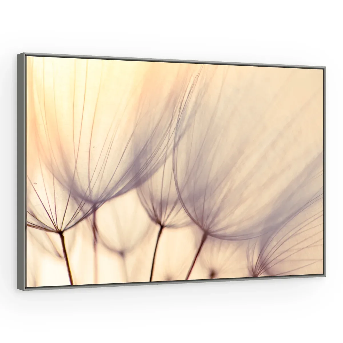 Quadro Decorativo Canvas Plumas Pastel - AF0013