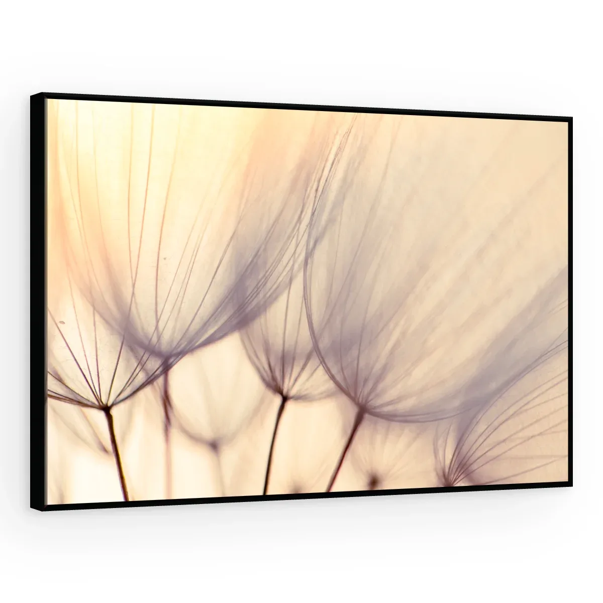 Quadro Decorativo Canvas Plumas Pastel - AF0013