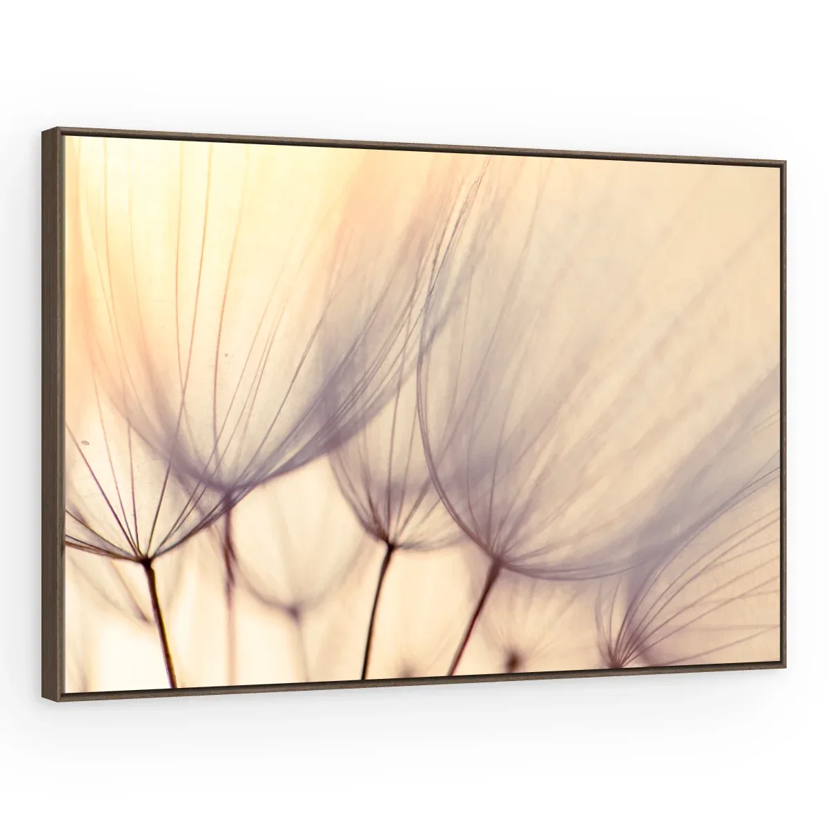 Quadro Decorativo Canvas Plumas Pastel - AF0013