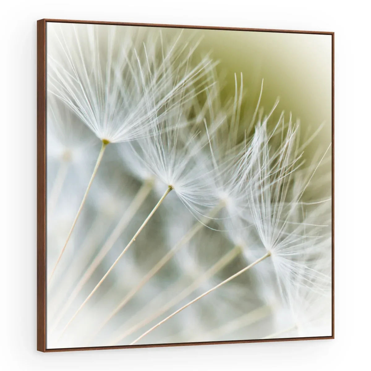 Quadro Decorativo Canvas Sementes Brancas - AF0014